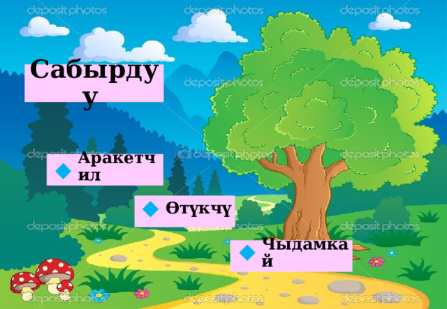 Сабырдуу Аракетчил  Өтүкчү  Чыдамкай  