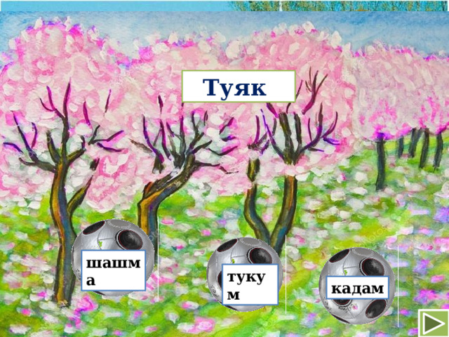 Туяк шашма тукум кадам 