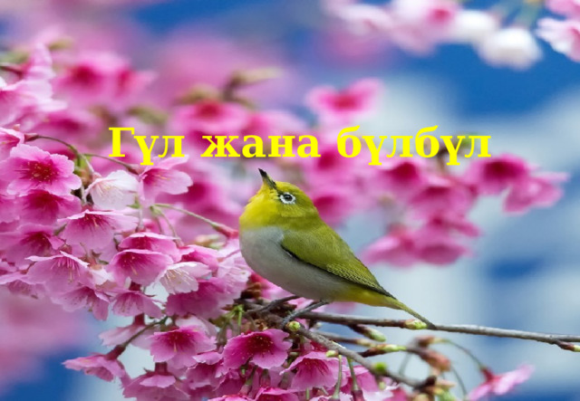 Гүл жана бүлбүл 