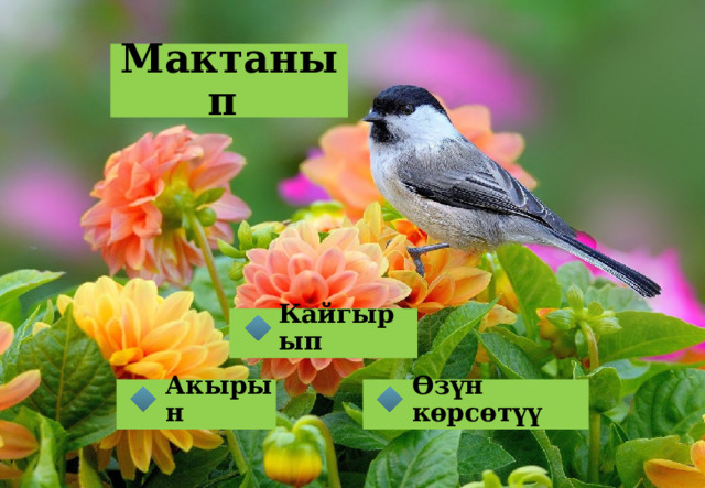 Мактанып Кайгырып  Өзүн көрсөтүү Акырын   