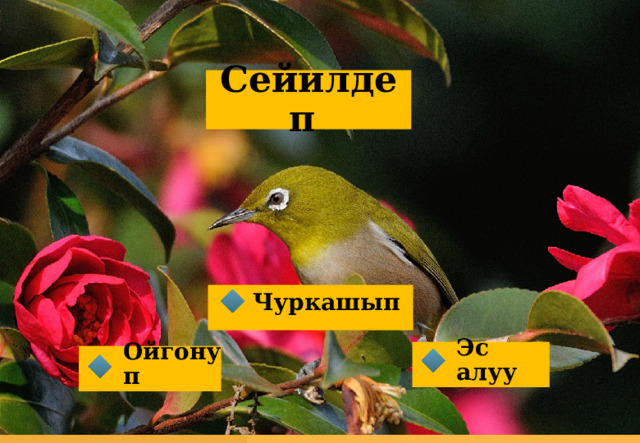 Сейилдеп Чуркашып  Эс алуу Ойгонуп   