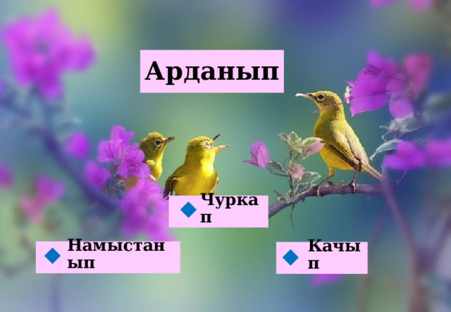 Арданып Чуркап  Намыстанып Качып   