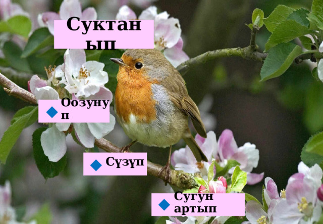 Суктанып Оозунуп  Сүзүп  Сугун артып  