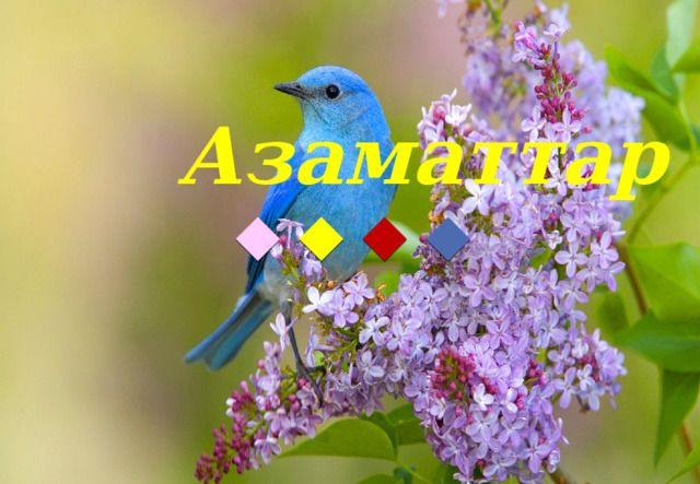 Азаматтар ! 