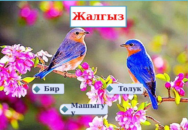 Жалгыз Толук  Бир  Машыгуу  