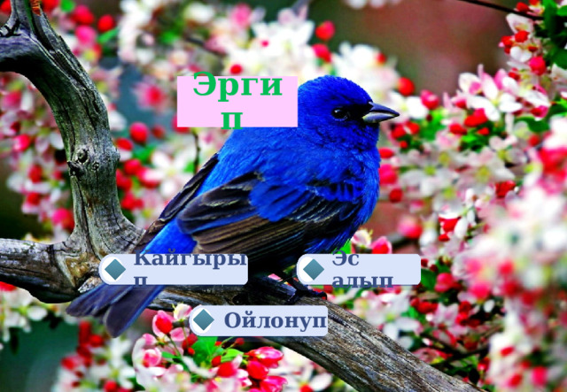 Эргип  Эс алып Кайгырып Ойлонуп 