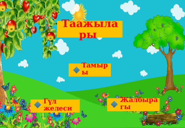 Таажылары Тамыры  Жалбырагы Гүл желеси 
