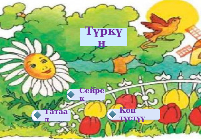 Түркүн Сейрек Көп түстүү Татаал 