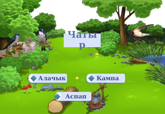  Чатыр   Алачык Кампа Аспап 