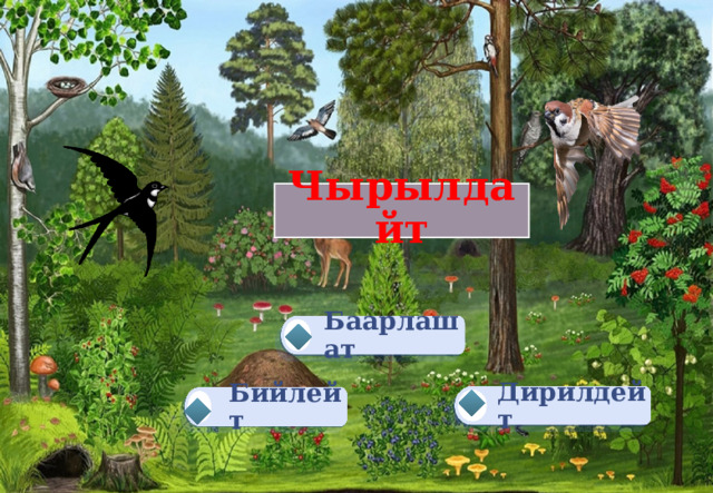  Чырылдайт   Баарлашат Дирилдейт Бийлейт 