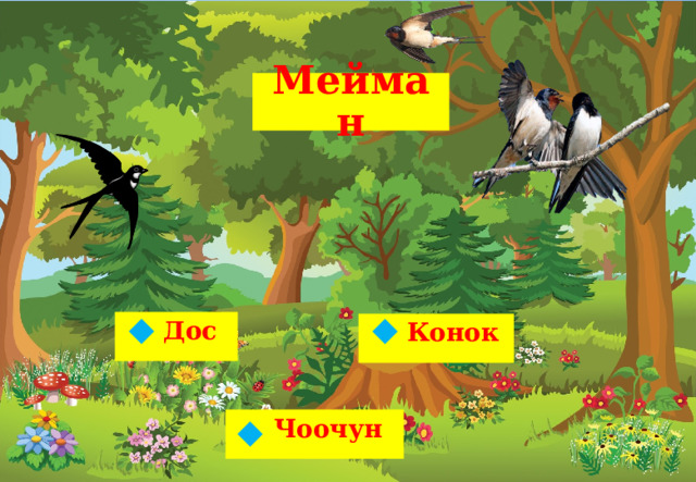 Мейман Дос Конок   Чоочун  