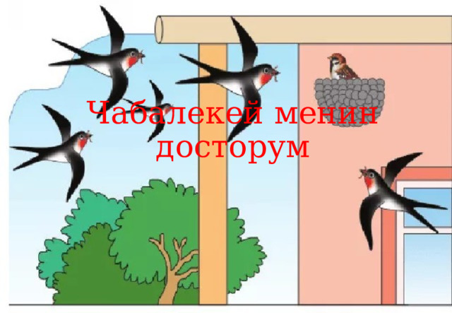 Чабалекей менин досторум 