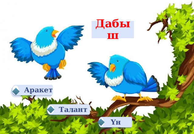 Дабыш Аракет Талант Үн 