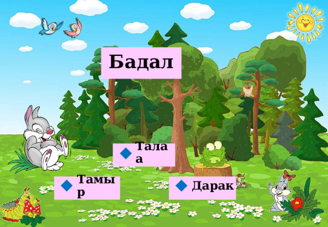  Бадал   Талаа  Дарак Тамыр   