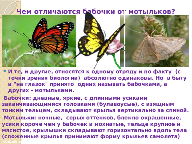 Чем отличаются бабочки от мотыльков? И те, и другие, относятся к одному отряду и по факту  (с точки зрения биологии)  абсолютно одинаковы. Но  в быту и 