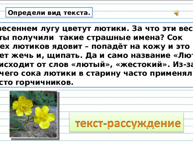 Определи вид текста.  На весеннем лугу цветут лютики. За что эти весёлые  цветы получили такие страшные имена? Сок  у всех лютиков ядовит – попадёт на кожу и это место  будет жечь и, щипать. Да и само название «Лютик»  происходит от слов «лютый», «жестокий». Из-за  жгучего сока лютики в старину часто применяли  вместо горчичников. 