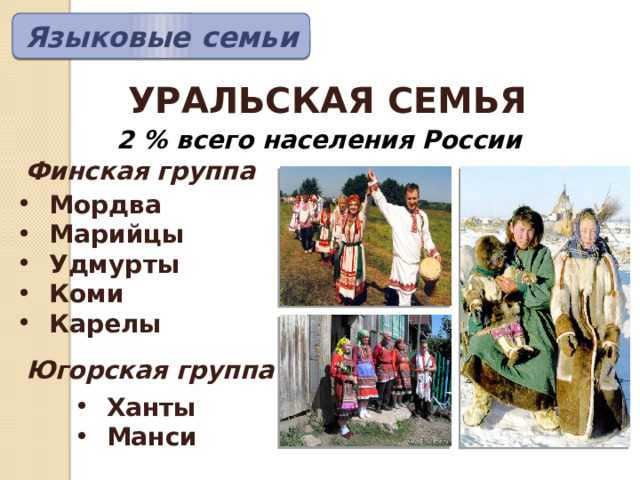 Языковые  семьи УРАЛЬСКАЯ СЕМЬЯ 2 % всего населения России Финская группа Мордва Марийцы Удмурты Коми Карелы Югорская группа Ханты Манси 