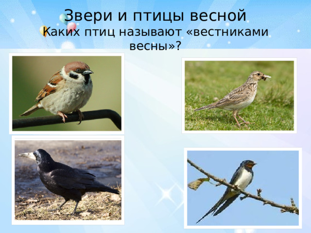 Звери и птицы весной  Каких птиц называют «вестниками весны»? 