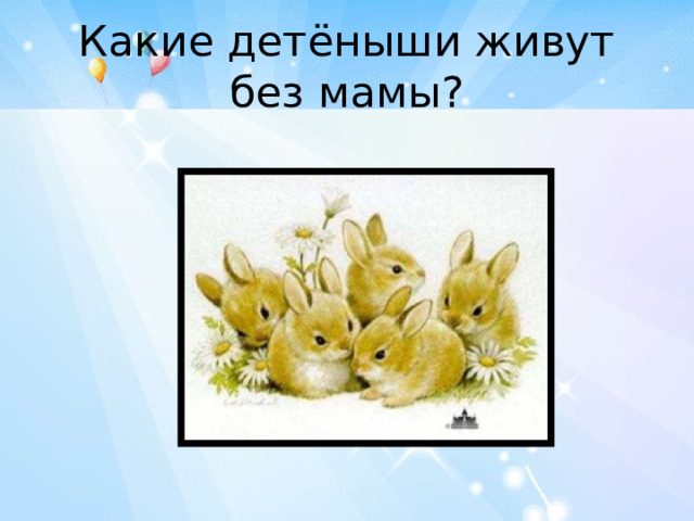 Какие детёныши живут без мамы? 