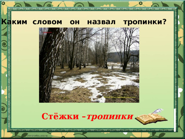 Каким словом он назвал тропинки? Стёжки – тропинки 