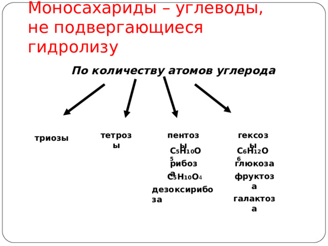 Видеоурок углеводы 9 класс биология