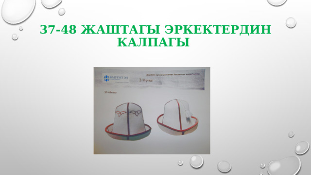 37-48 ЖАШТАГЫ ЭРКЕКТЕРДИН КАЛПАГЫ 