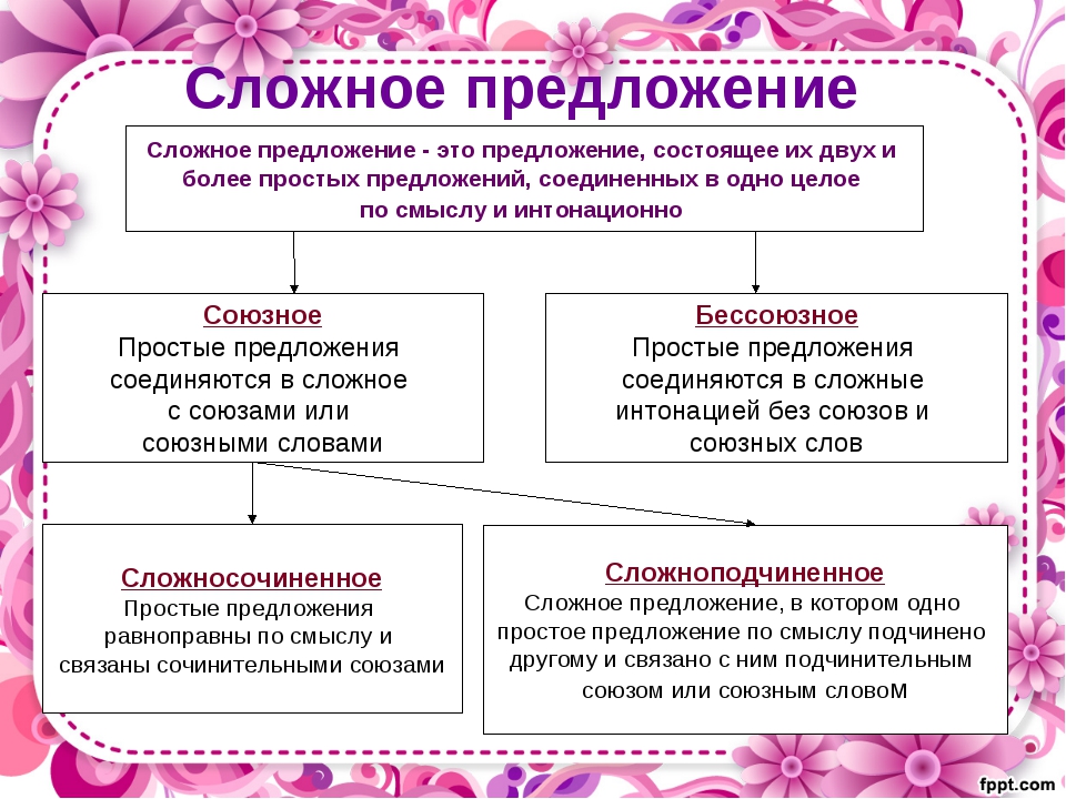 Сложное предложение со схемой 6 класс