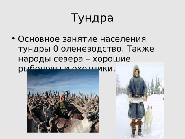 Тундра Основное занятие населения тундры 0 оленеводство. Также народы севера – хорошие рыболовы и охотники. 