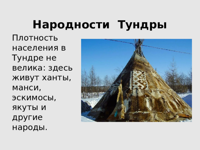 Народности Тундры Плотность населения в Тундре не велика: здесь живут ханты, манси, эскимосы, якуты и другие народы. 