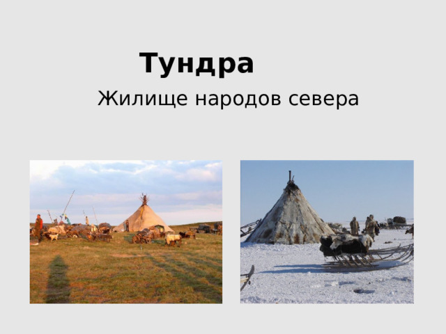 Тундра Жилище народов севера 