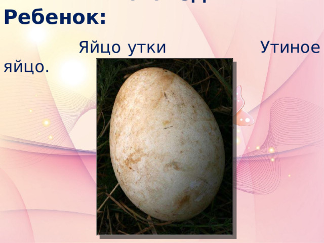  Логопед: Ребенок:  Яйцо утки Утиное яйцо. 