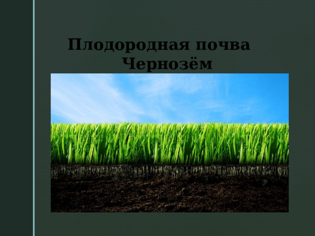   Плодородная почва  Чернозём 