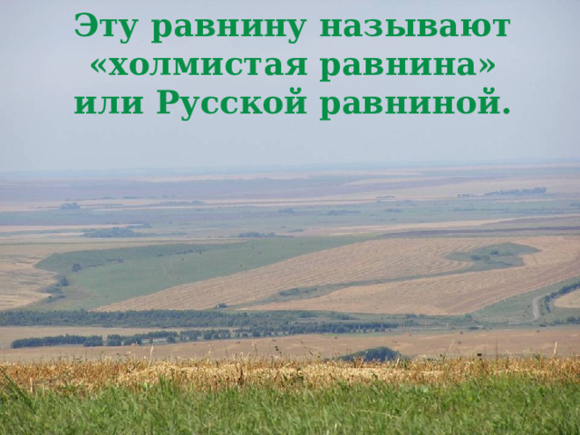 Эту равнину называют «холмистая равнина» или Русской равниной. 