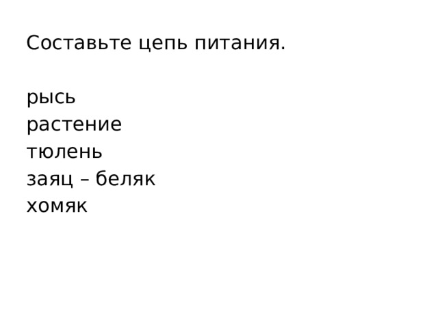 Составьте цепь питания. рысь растение тюлень заяц – беляк хомяк 