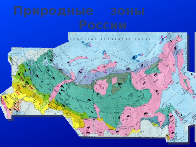 Природные зоны   России  