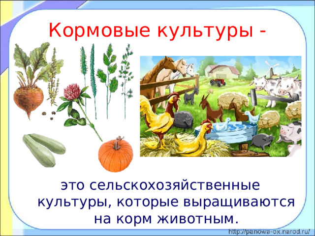 Кормовые культуры - это сельскохозяйственные культуры, которые выращиваются на корм животным . 