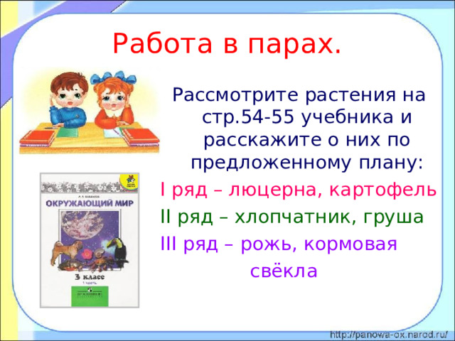 Работа в парах. Рассмотрите растения на стр.54-55 учебника и расскажите о них по предложенному плану: I ряд – люцерна, картофель II ряд – хлопчатник, груша III ряд – рожь, кормовая  свёкла 