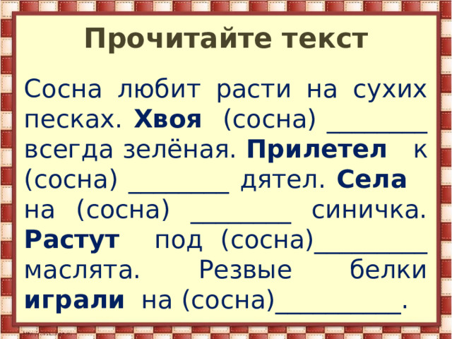 Люби расти. Сосна любит расти на сухих Песках. Сосна любит расти на сухих Песках падежи. Сосна любит расти на сухих Песках хвоя сосны всегда зеленая. Сосна любит расти на сухих Песках разбор предложения.