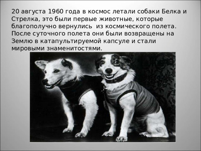 20 августа 1960 года в космос летали собаки Белка и Стрелка, это были первые животные, которые благополучно вернулись из космического полета. После суточного полета они были возвращены на Землю в катапультируемой капсуле и стали мировыми знаменитостями. 