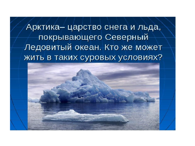 Презентация арктика для дошкольников