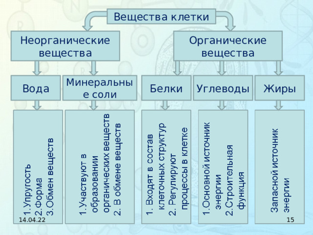 Вещества органические и неорганические схема