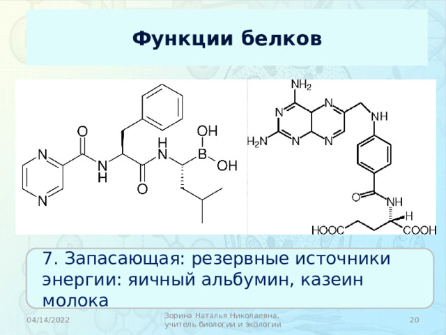 7 белков. Функции запасных белков. Запасные функции белков. Казеин белок функции. Запасающая функция белков примеры.