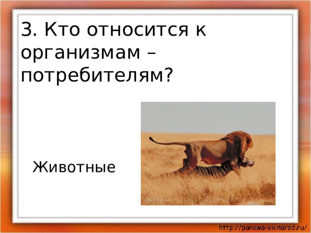 Презентация круговорот жизни. Кто относится к организмам потребителям. Кто является организмами потребителями. Кто относится к организмам потребителям Великий круговорот жизни. Кто относится к организмам потребителям ответы.