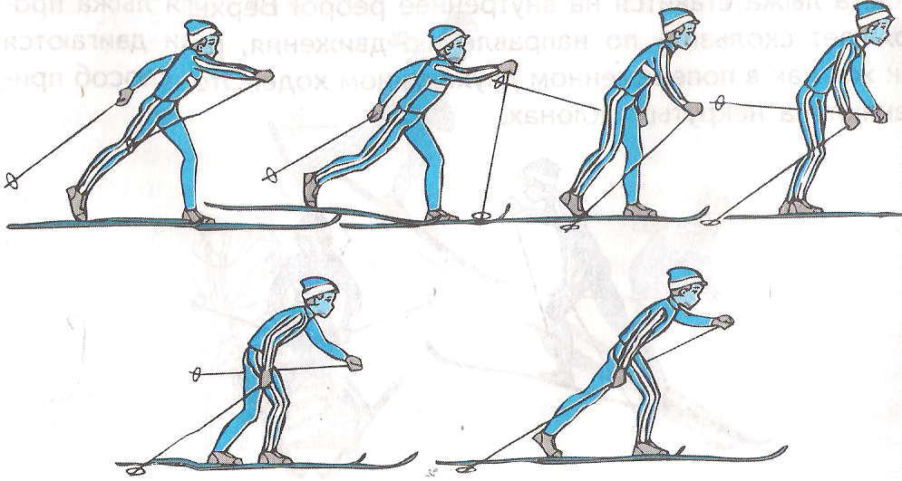 Определите в каком ответе каждому лыжному ходу соответствует свой рисунок