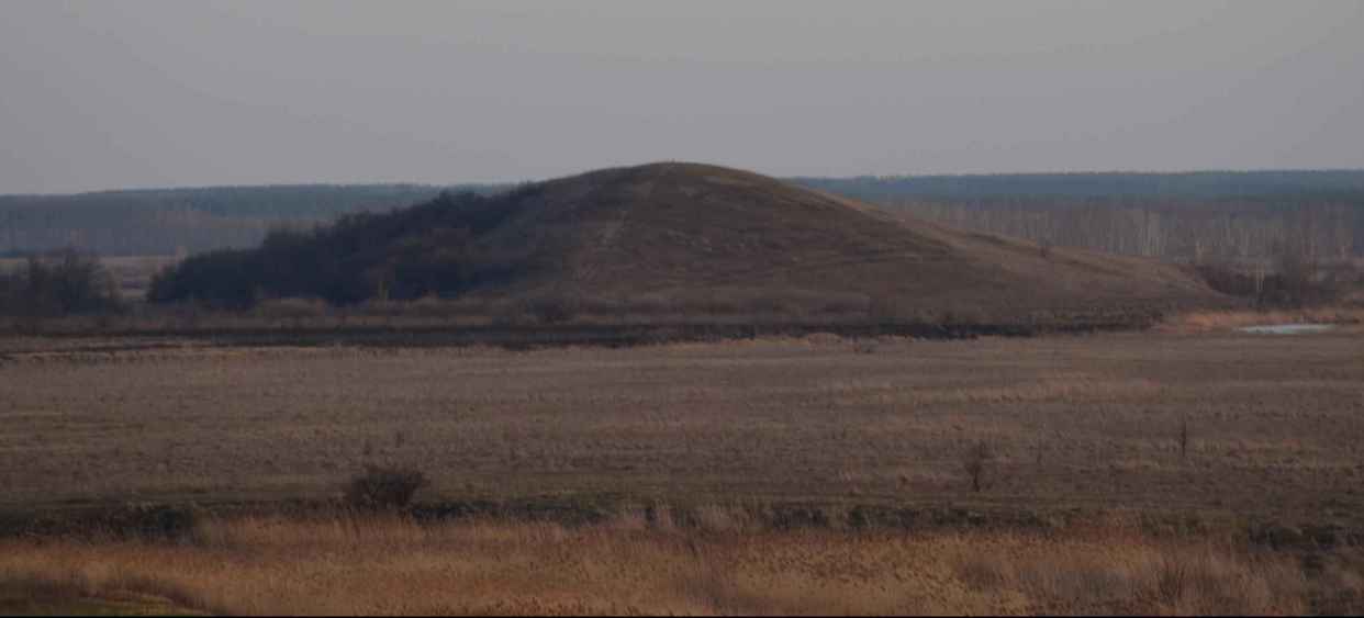 Воронежское чудо