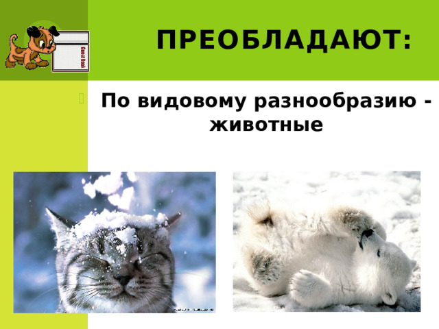 Преобладают: По видовому разнообразию - животные 