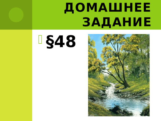 Домашнее задание §48 