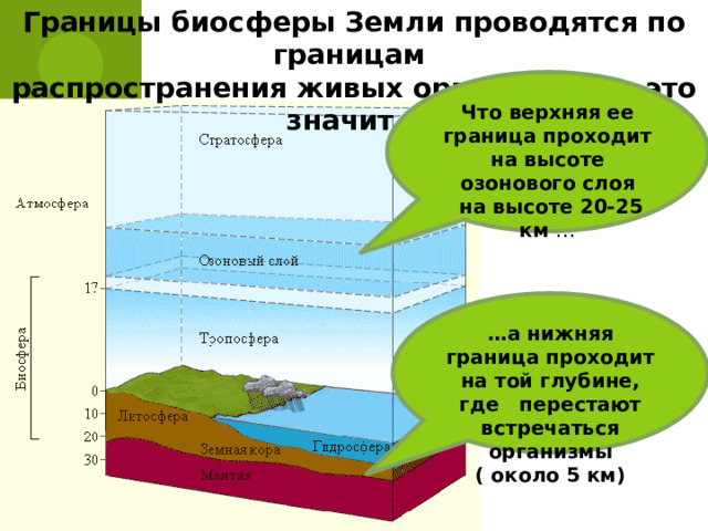 Границы биосферы Земли проводятся по границам распространения живых организмов, а это значит… Что верхняя ее граница проходит на высоте озонового слоя  на высоте 20-25 км … … а нижняя граница проходит на той глубине, где перестают встречаться организмы ( около 5 км) 