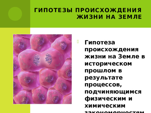 Гипотезы происхождения жизни на земле Гипотеза происхождения жизни на Земле в историческом прошлом в результате процессов, подчиняющимся физическим и химическим закономерностям. 