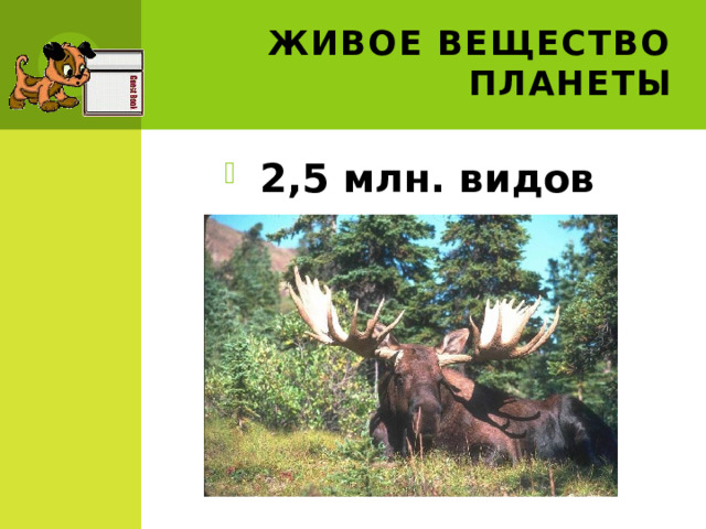 Живое вещество планеты 2,5 млн. видов 